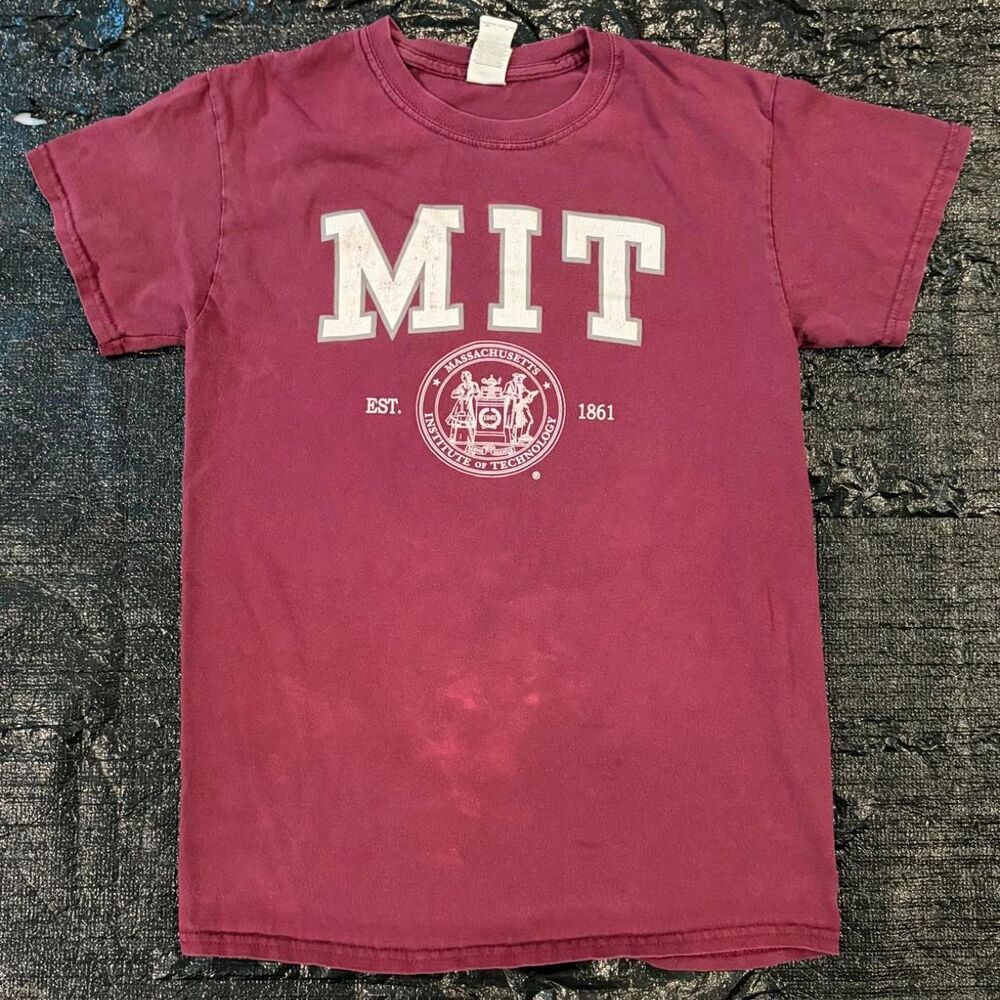 Gildan Men's Burgundy and Red T-shirt